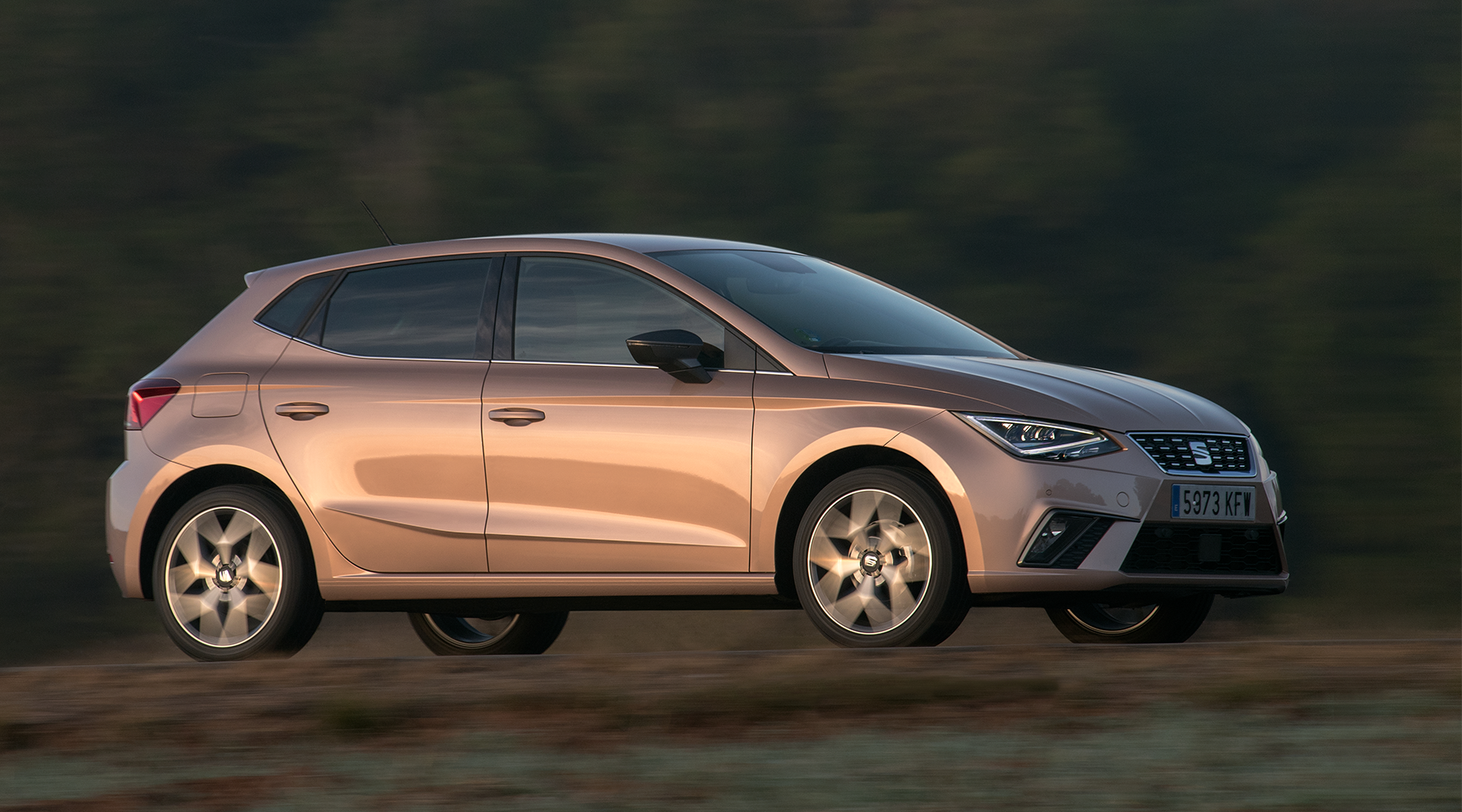 SEAT Arona parked in front of the sea and the city