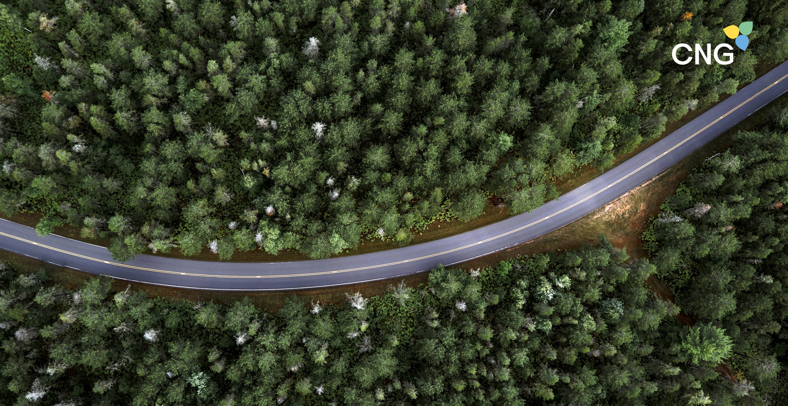 Kurvige Straße durch einen Wald senkrecht von oben | SEAT
