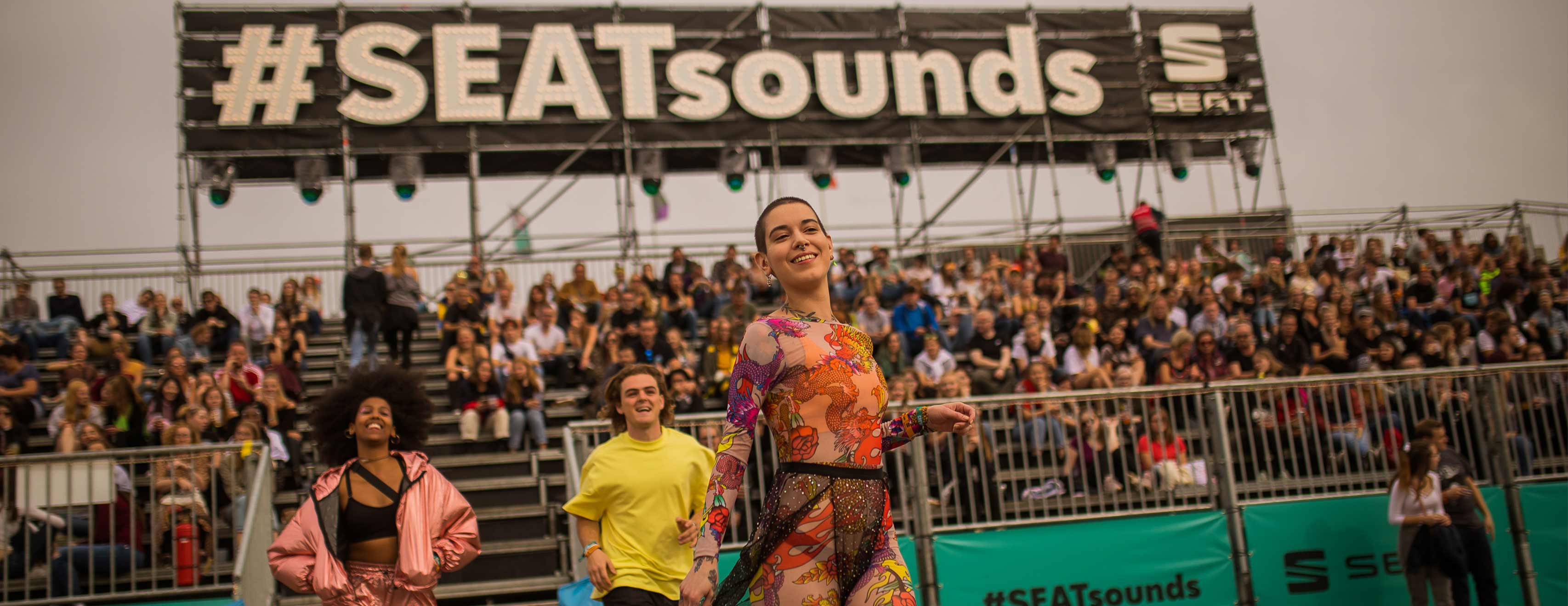 Lollapalooza - Boxerwelpe schaut neugierig | SEAT