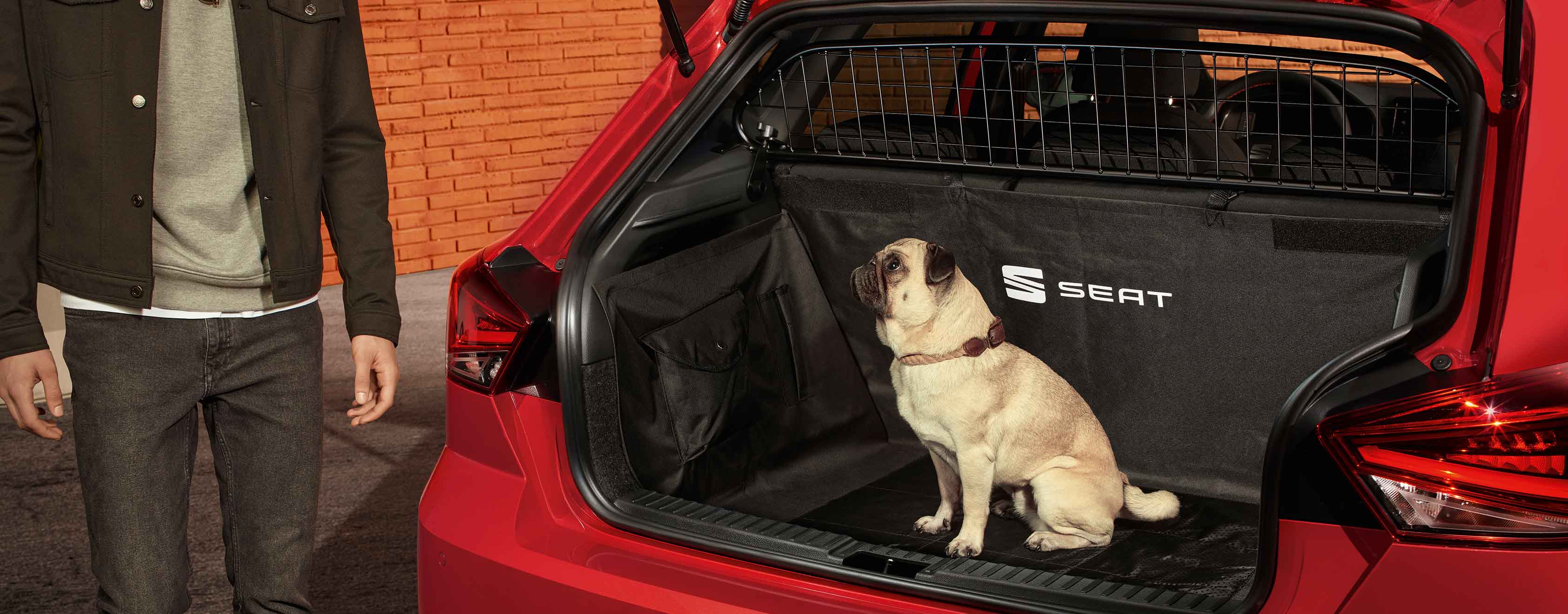 SEAT Ibiza Desire Rot Trenngitter | SEAT
